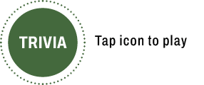 Trvia open